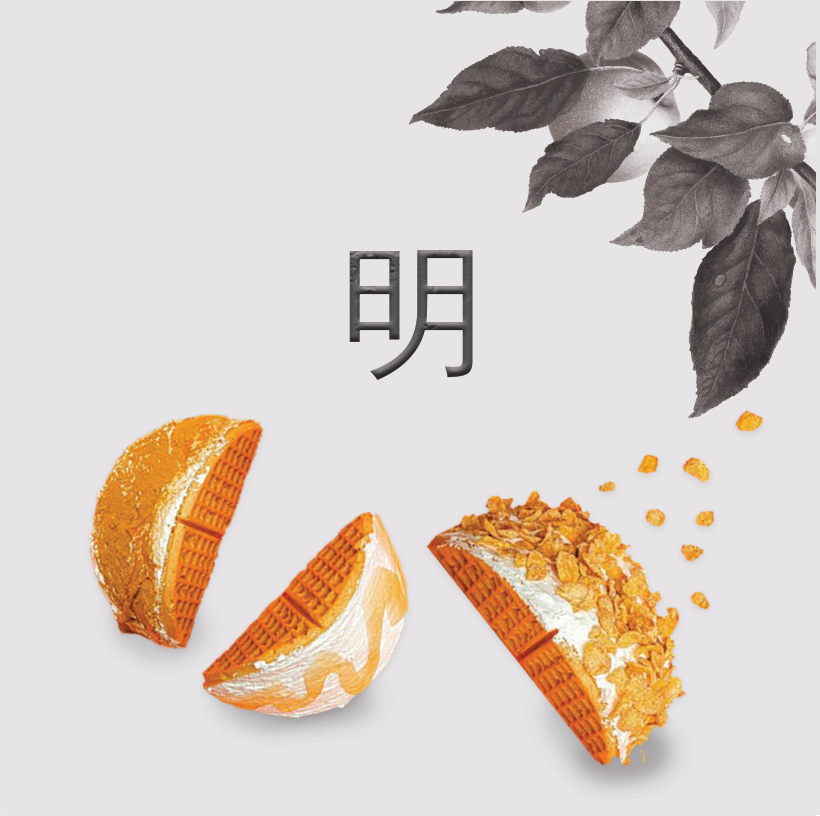 커피사진